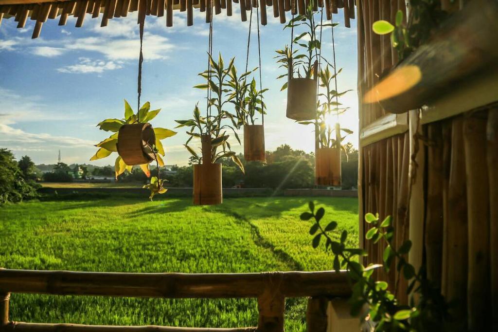 Longchen Homestay Dimāpur Zewnętrze zdjęcie