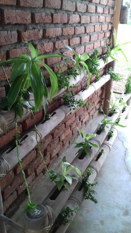 Longchen Homestay Dimāpur Zewnętrze zdjęcie